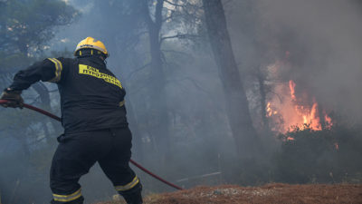 Πυροσβέστης σε κατάσβεση πυρκαγιάς σε δάσος