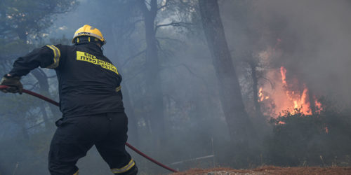 Πυροσβέστης σε κατάσβεση πυρκαγιάς σε δάσος