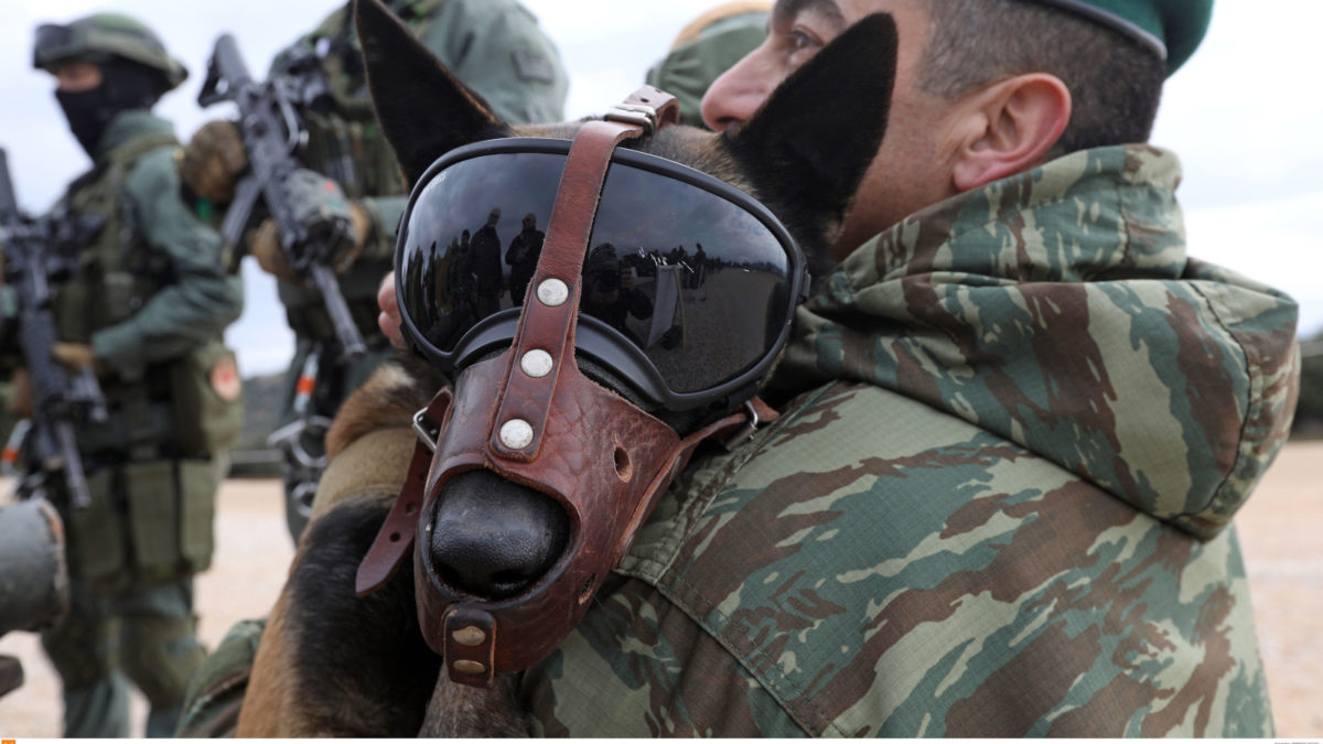 Ελληνικός Στρατός Σκύλος