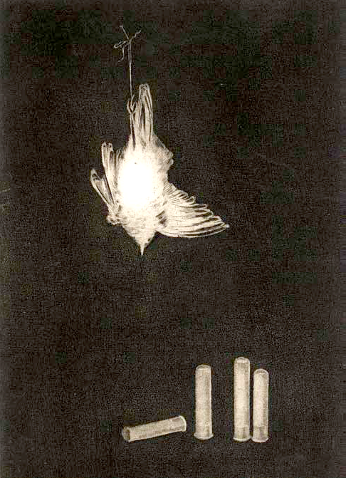 Χούντα - τέχνη