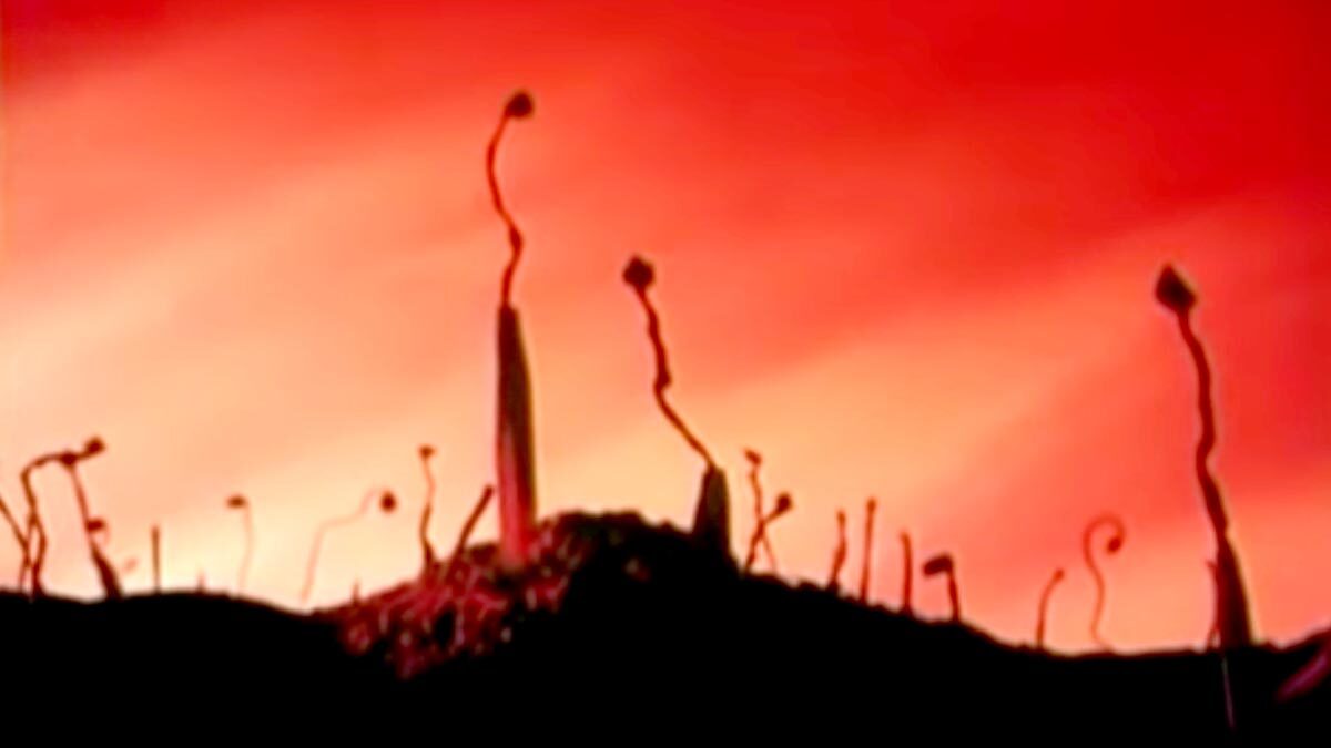 Conflict -USSR animation