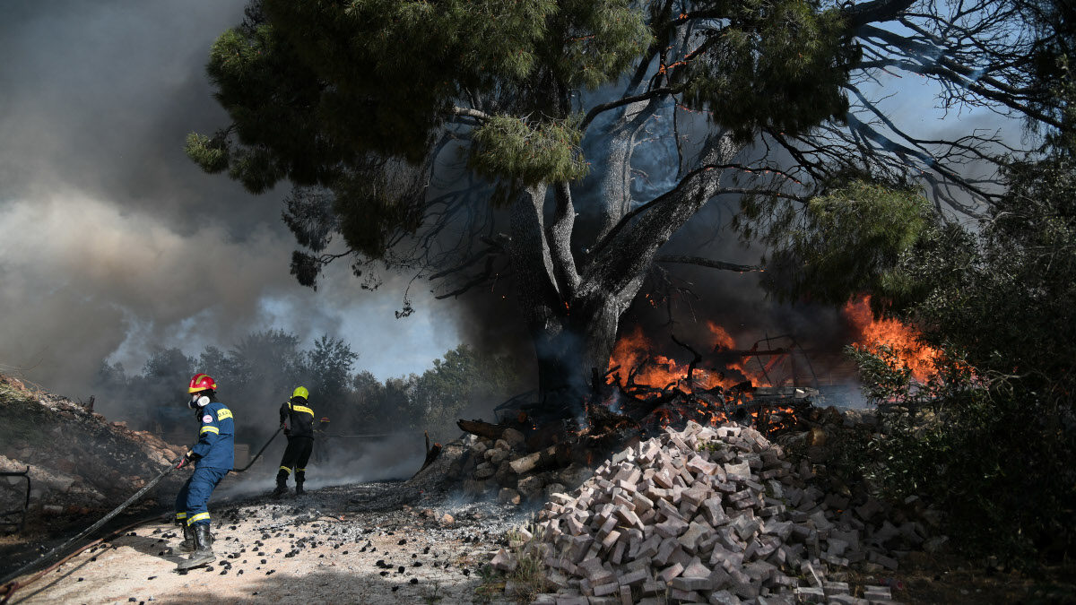 dasos-pyrkagia-pyrosvestes