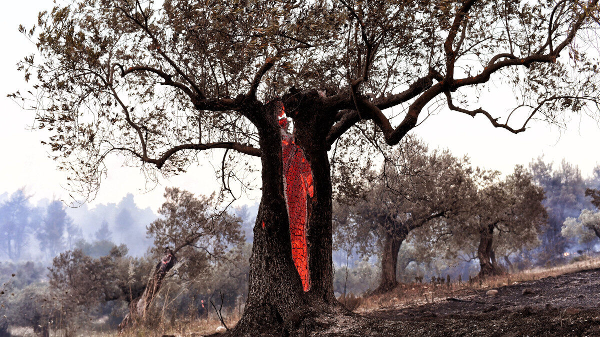 Εντυπωσιακή φωτογραφία από πυρκαγιά