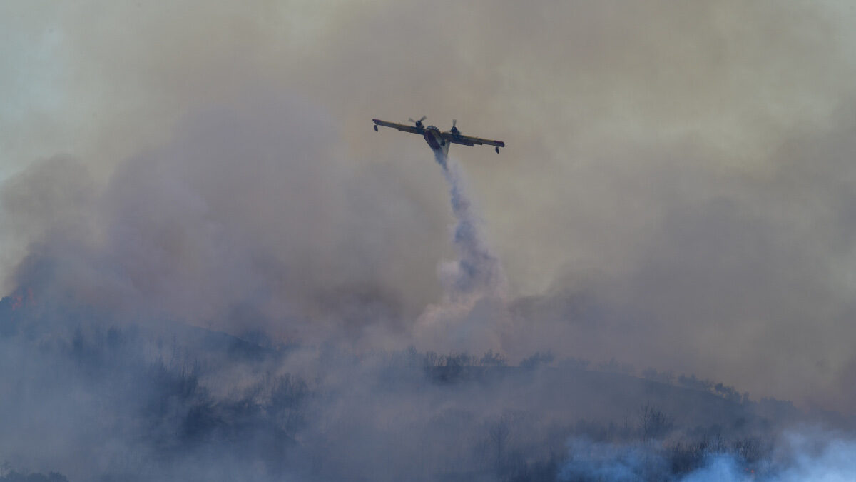 Από την πυρκαγιά στο Γραμματικό Ηλείας / 24/7/2020