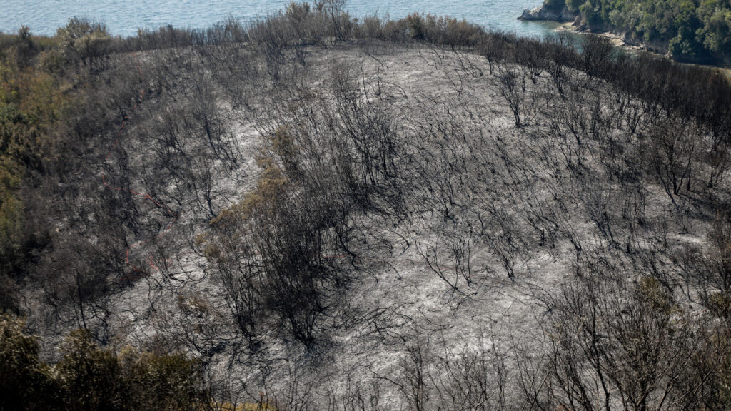 Κέρκυρα, Κασσιόπη του Ερημίτη, εκεί που επενδυτές θα κατασκευάσουν ξενοδοχείο και μαρίνα εν μέσω λαϊκών αντιδράσεων. Ότι απέμεινε από την πυρκαγιά του Σαββάτου 17/8/2020