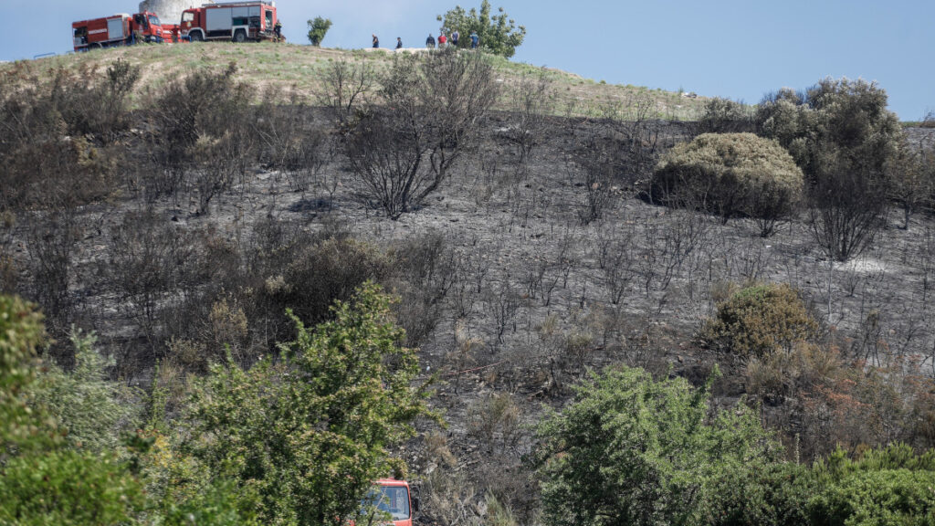 Κέρκυρα, Κασσιόπη του Ερημίτη, εκεί που επενδυτές θα κατασκευάσουν ξενοδοχείο και μαρίνα εν μέσω λαϊκών αντιδράσεων. Ότι απέμεινε από την πυρκαγιά του Σαββάτου 17/8/2020