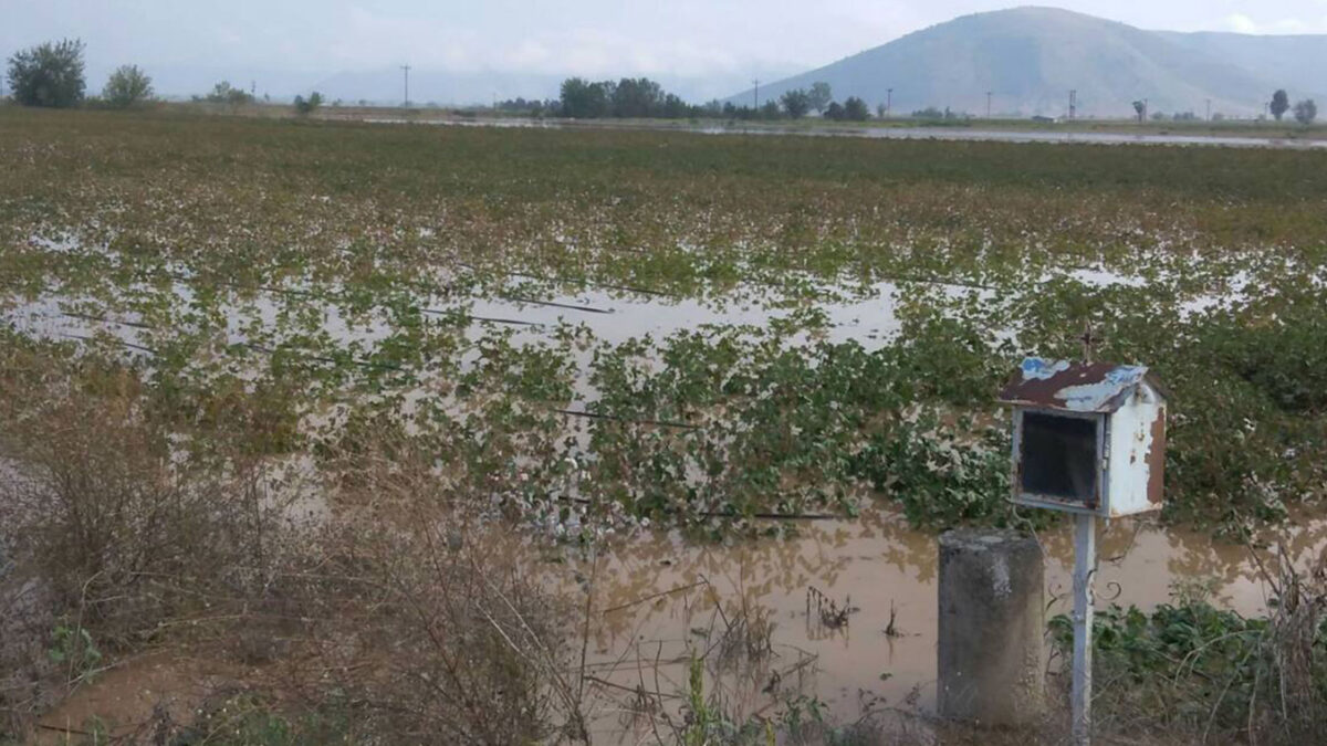 Πλημμύρες στον Παλαμά Καρδίτσας