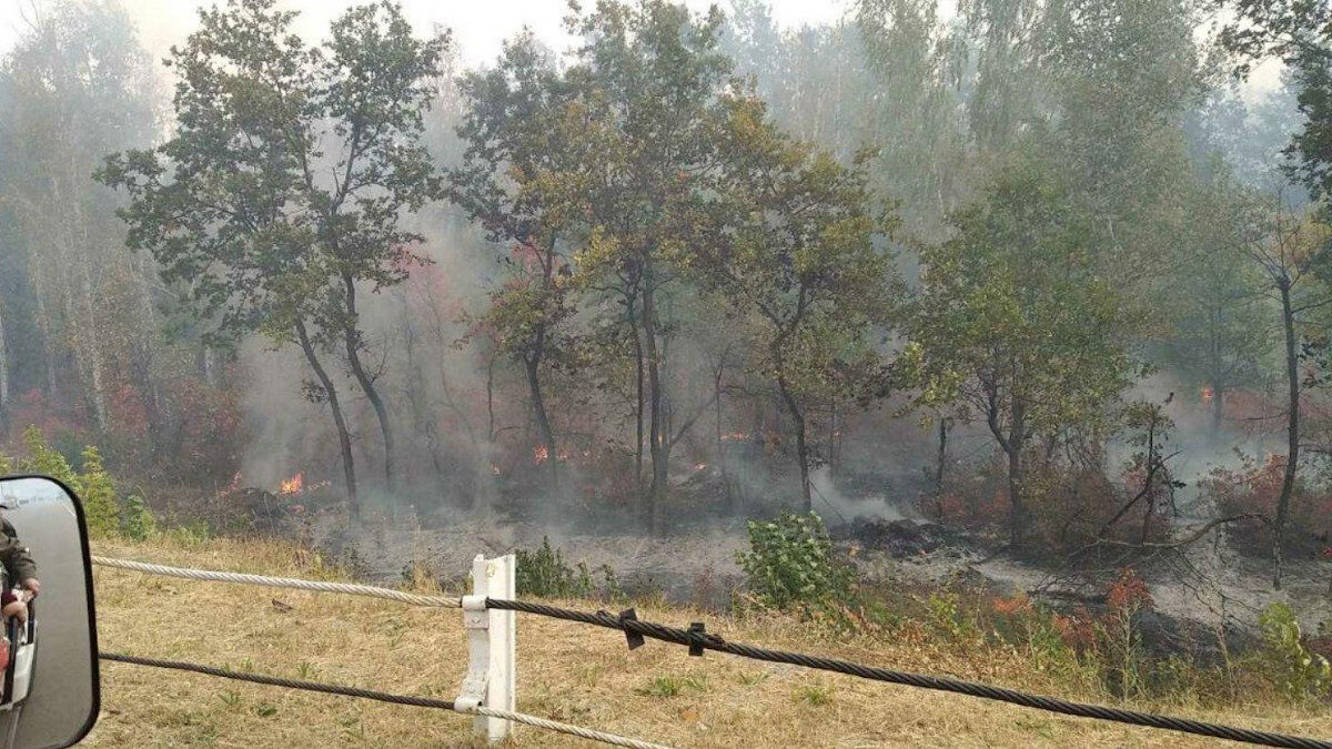 πυρκαγιά σε δασική έκταση στην ουκρανία