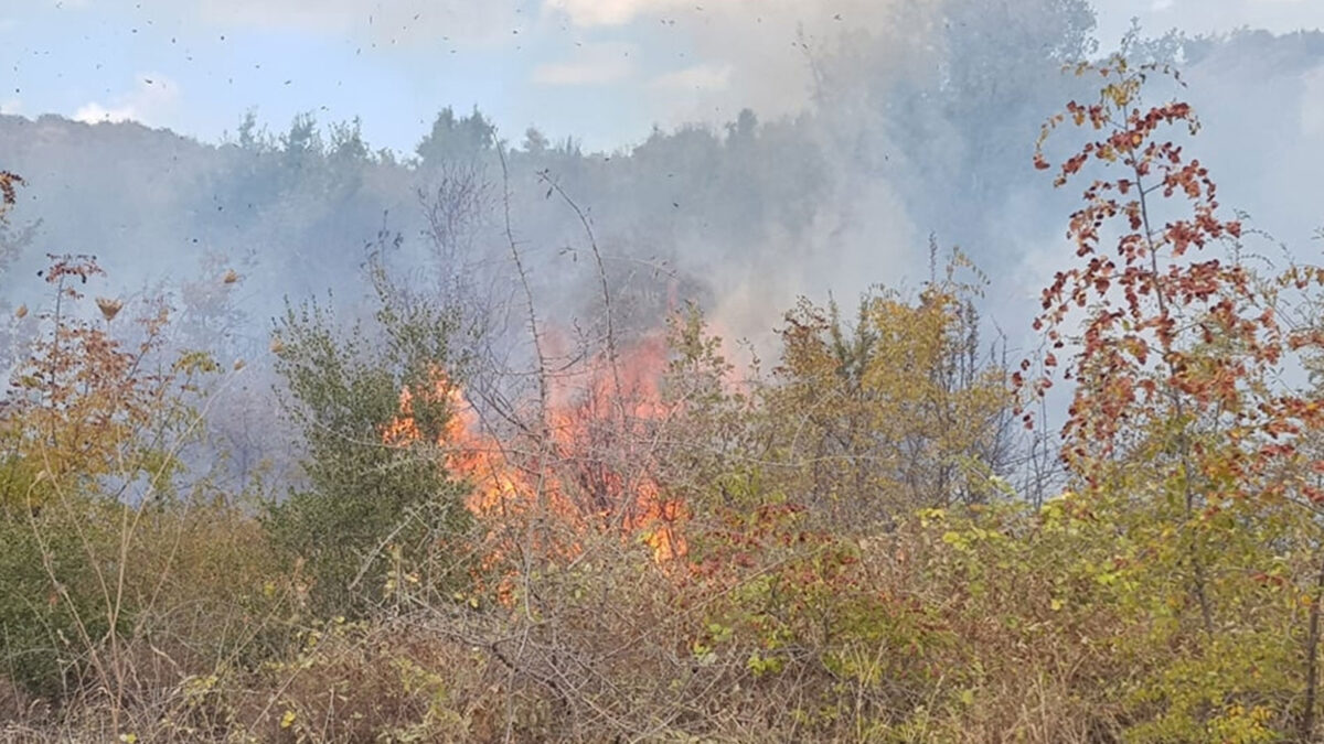 Πυρκαγιά στη Λευκίμμη Σουφλίου, στον Έβρο