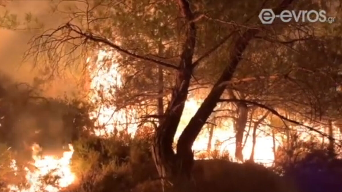 Πυρκαγιά στη Λευκίμμη Σουφλίου, στον Έβρο