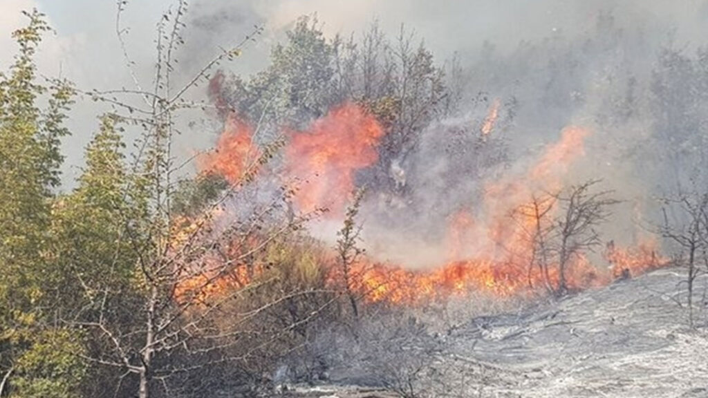 Πυρκαγιά στη Λευκίμμη Σουφλίου, στον Έβρο