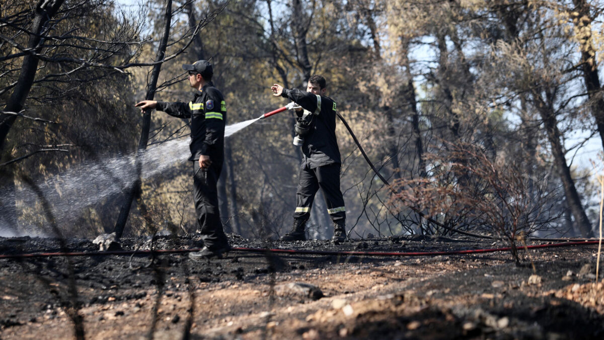Πυροσβέστες σε κατάσβεση Πυρκαγιάς σε δασώδη περιοχή στη Ραφήνα
