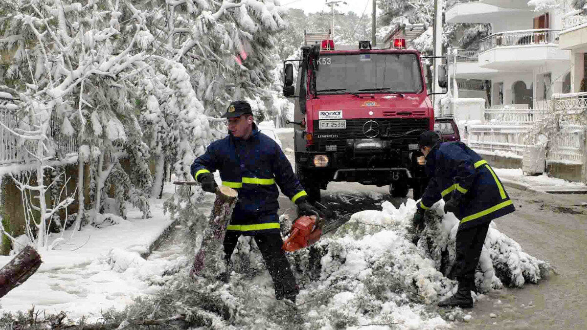 Πυροσβέστες κόβουν δέντρα που κατέρρευσαν από τις χιονοπτώσεις