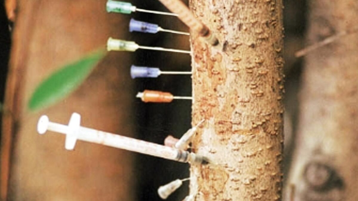 Ναρκωτικά - Εξαρτήσεις