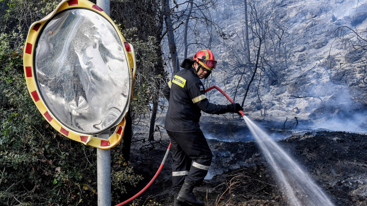 Πυρκαγιά στο Σχινό Κορινθίας - Καταστροφές στον οικισμό Βαμβακιές / Πηγή: Eurokinissi