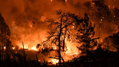 Πυροσβέστες επιχειρούν για την κατάσβεση της δασικής πυρκαγιάς στο Σχίνο Κορινθίας