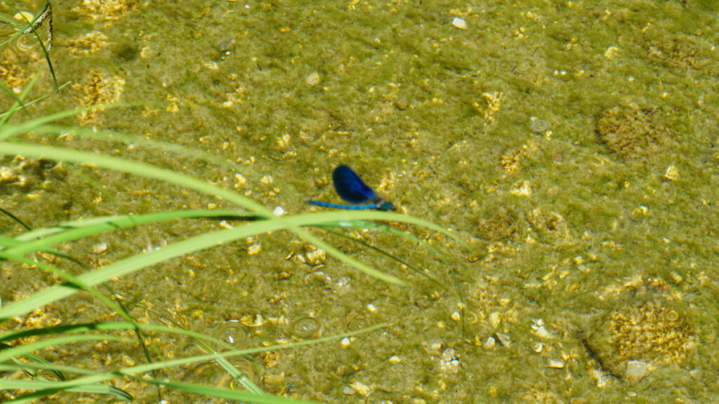 Οδοιπορικό alt.gr Ηγουμενίτσα - Κεφαλοχώρι - Μάης 2021