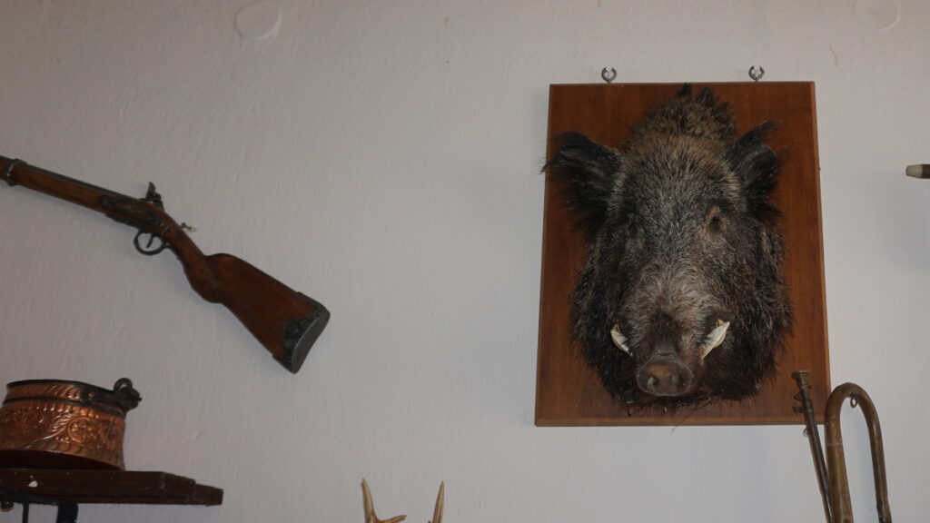 Οδοιπορικό alt.gr Ηγουμενίτσα - Κεφαλοχώρι - Μάης 2021