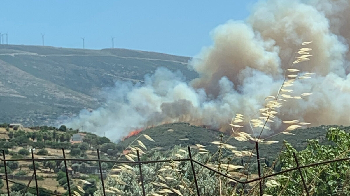 Πυρκαγιά στα Νέα Στύρα Εύβοιας - 10/7/2021