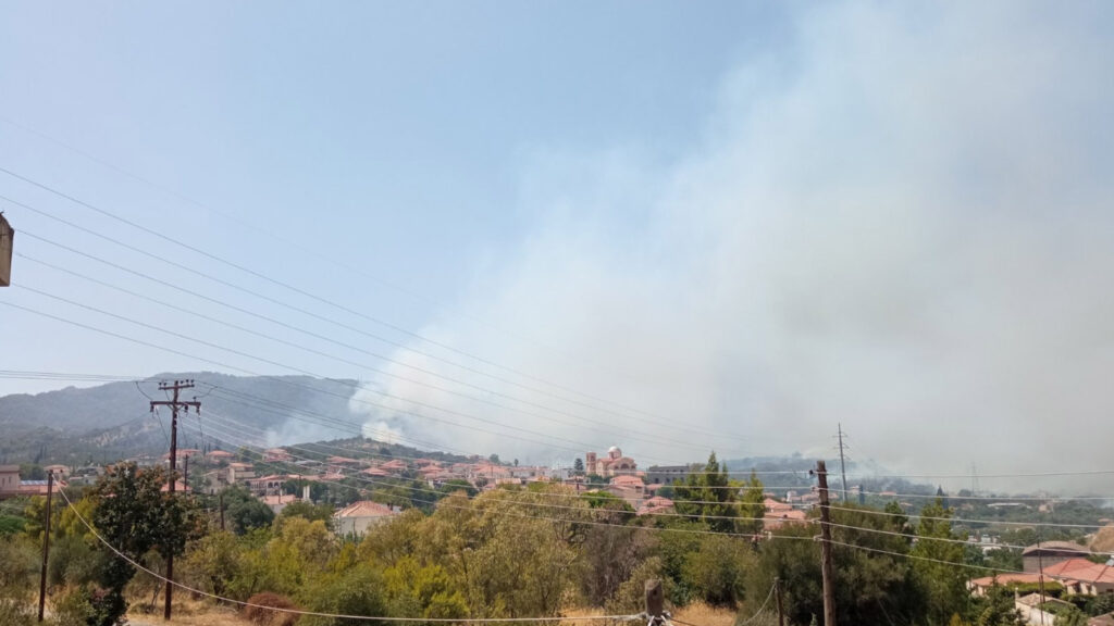 Πυροσβεστική - δάσος - Πυρκαγιά στην περιοχή Λαμπίρη Αχαΐας