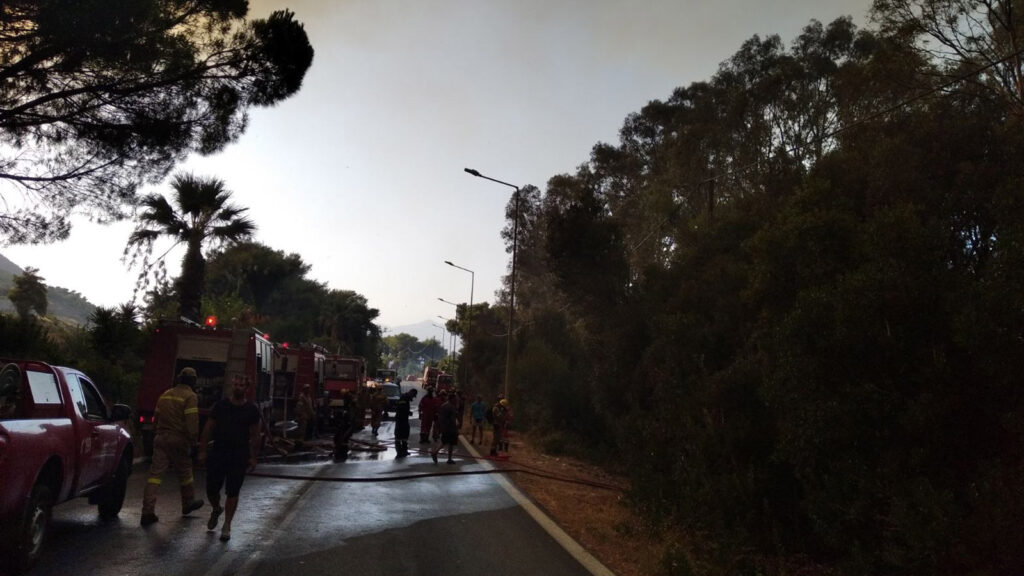 Πυροσβεστική - Δάσος - Πυρκαγιά στην Αιγιάλια Αχαΐας, Σάββατο 31 Ιουλίου 2021