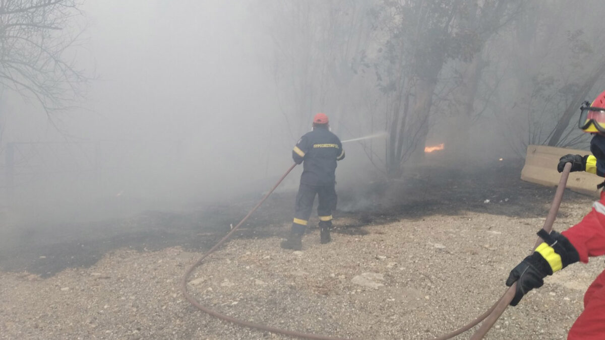 Πυροσβεστική - Δάσος - Πυρκαγιά στην Αιγιάλια Αχαΐας, Σάββατο 31 Ιουλίου 2021