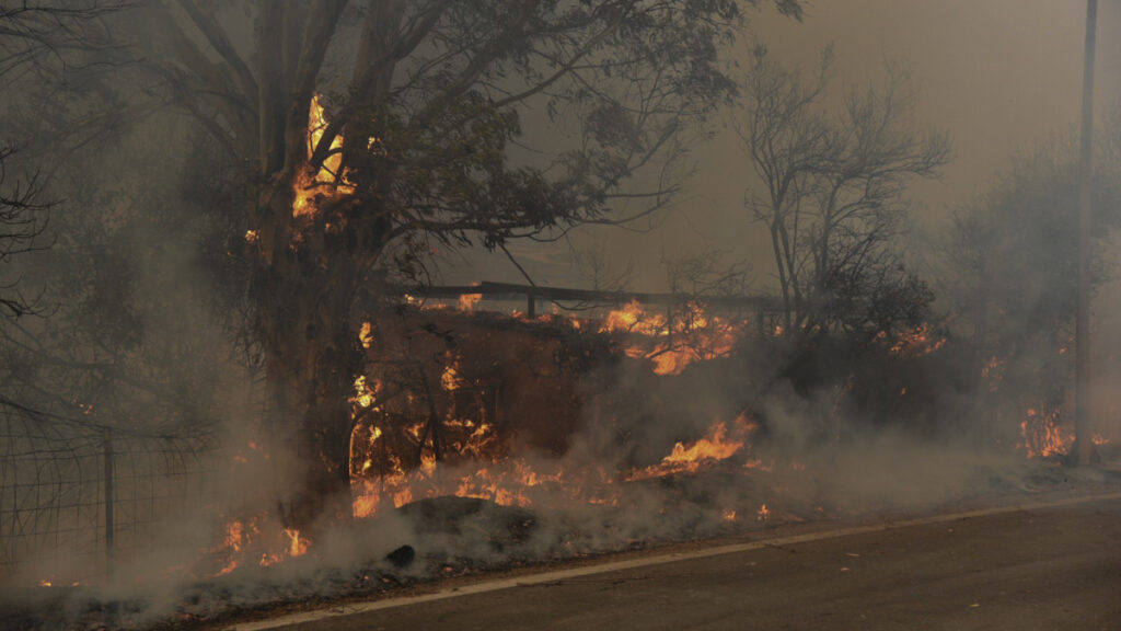 Πυροσβεστική - Δάσος - Πυρκαγιά στην Αιγιάλια Αχαΐας, Σάββατο 31 Ιουλίου 2021