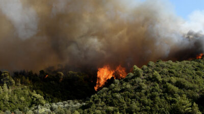 Πυροσβεστική - δάσος - Πυρκαγιά στην περιοχή Λαμπίρη Αχαΐας