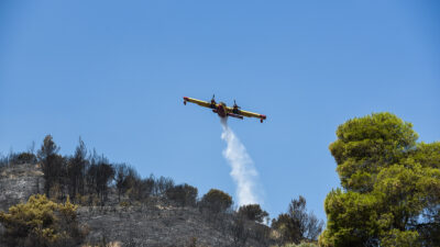 Πυροσβεστική - Πυρκαγιά - Δάσος - Καταστροφές από την πυρκαγιά στην Ζήρια Αχαΐας, Κυριακή 1 Αυγούστου 2021.