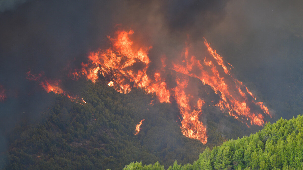 ΠΥΡΚΑΓΙΑ ΣΤΗ ΠΕΡΙΟΧΗ ΗΡΑΚΛΕΙΑ ΤΟΥ ΔΗΜΟΥ ΑΡΧΑΙΑΣ ΟΛΥΜΠΙΑΣ