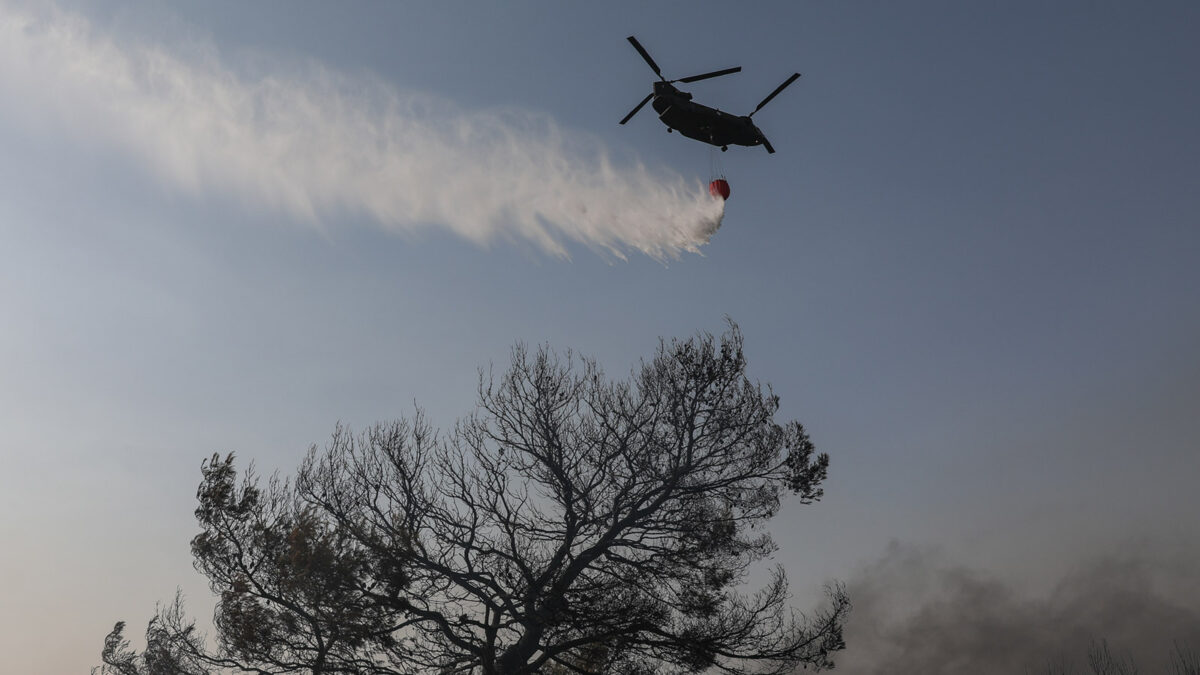 Πυρκαγιά στην Βαρυμπόπη, επόμενη ημέρα, Τετάρτη 4 Αυγούστου 2021