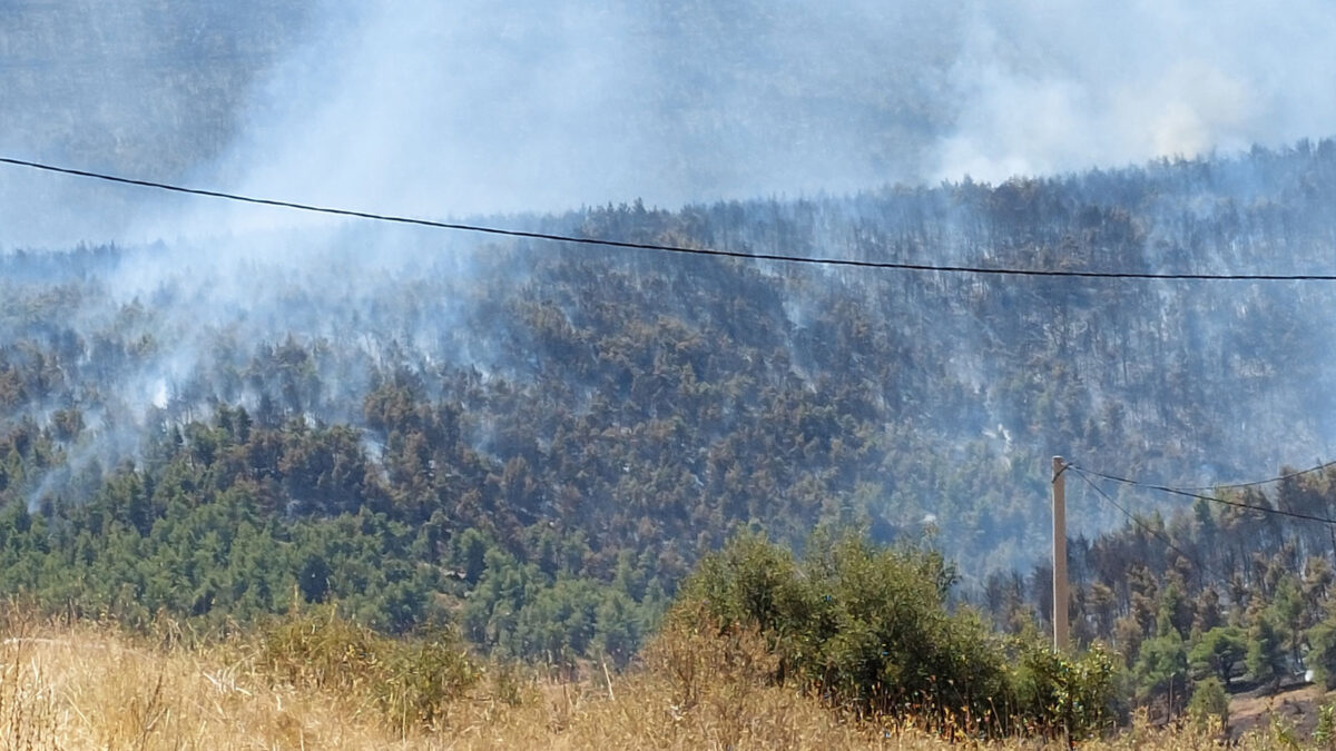 Πυρκαγιά στα Βίλια , Αττικής - 18/8/2021