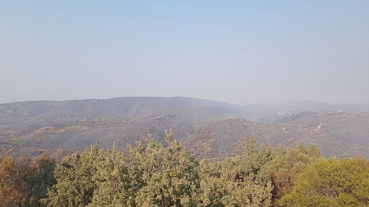 Πυρκαγιά στη Λακωνία - Κατέκαψε 110000 στρέμματα - Αύγουστος 2021
