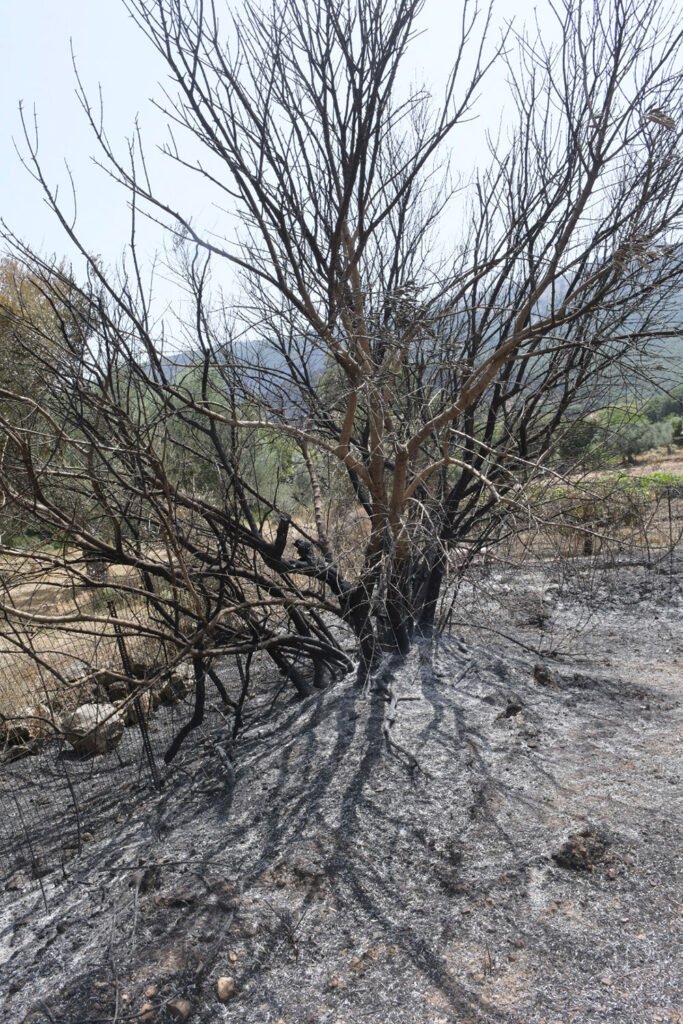 Περιοδεία κλιμακίου του ΚΚΕ στον Δήμο Ερύμανθου μία από τις πυρόπληκτες περιοχές της Αχαΐας - 2/8/21