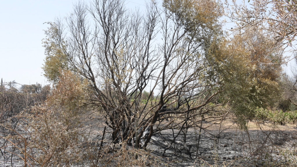 Περιοδεία κλιμακίου του ΚΚΕ στον Δήμο Ερύμανθου μία από τις πυρόπληκτες περιοχές της Αχαΐας - 2/8/21