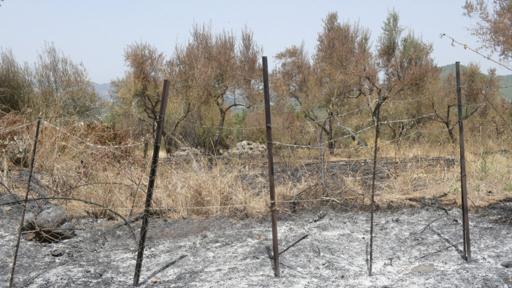 Περιοδεία κλιμακίου του ΚΚΕ στον Δήμο Ερύμανθου μία από τις πυρόπληκτες περιοχές της Αχαΐας - 2/8/21