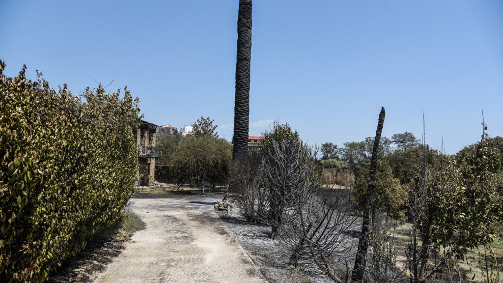 Πυροσβεστική - Πυρκαγιά - Δάσος - Καταστροφές από την πυρκαγιά στην Ζήρια Αχαΐας, Κυριακή 1 Αυγούστου 2021.