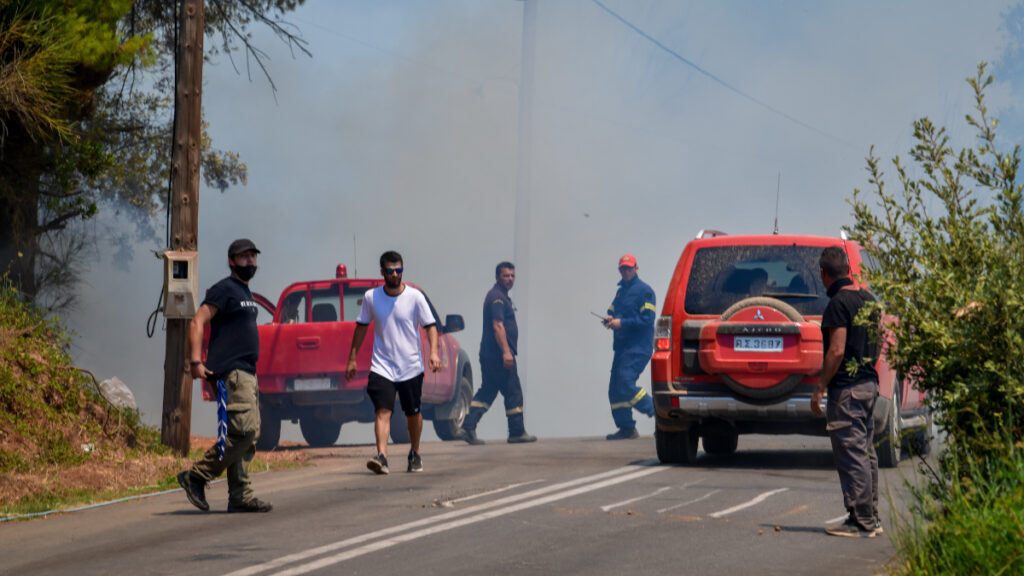Πυρκαγιά στη Νεμούτα Ηλείας
