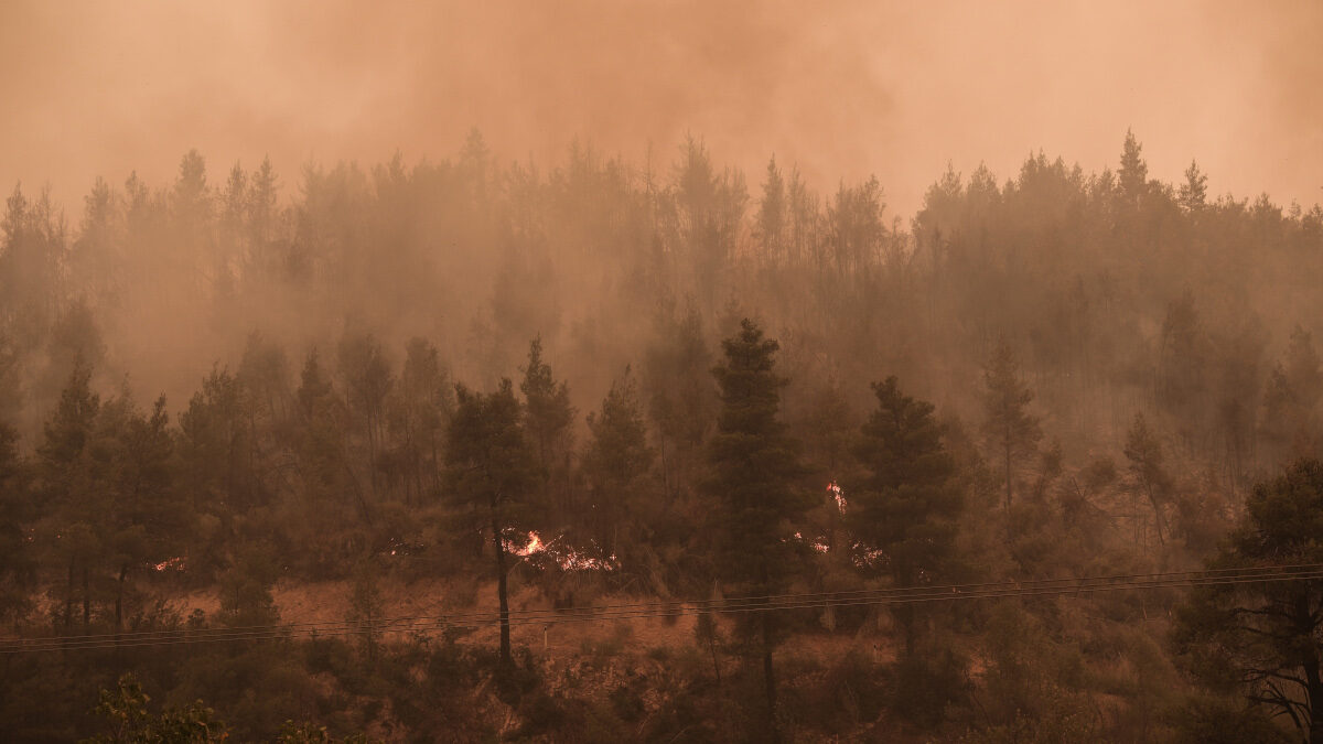 Πυρκαγιά στην Εύβοια