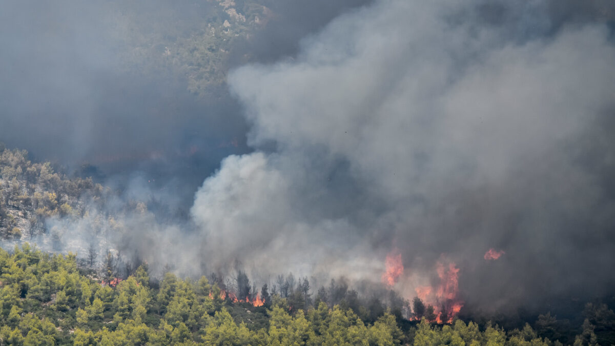 Πυρκαγιά στα Βίλλια Αττικής