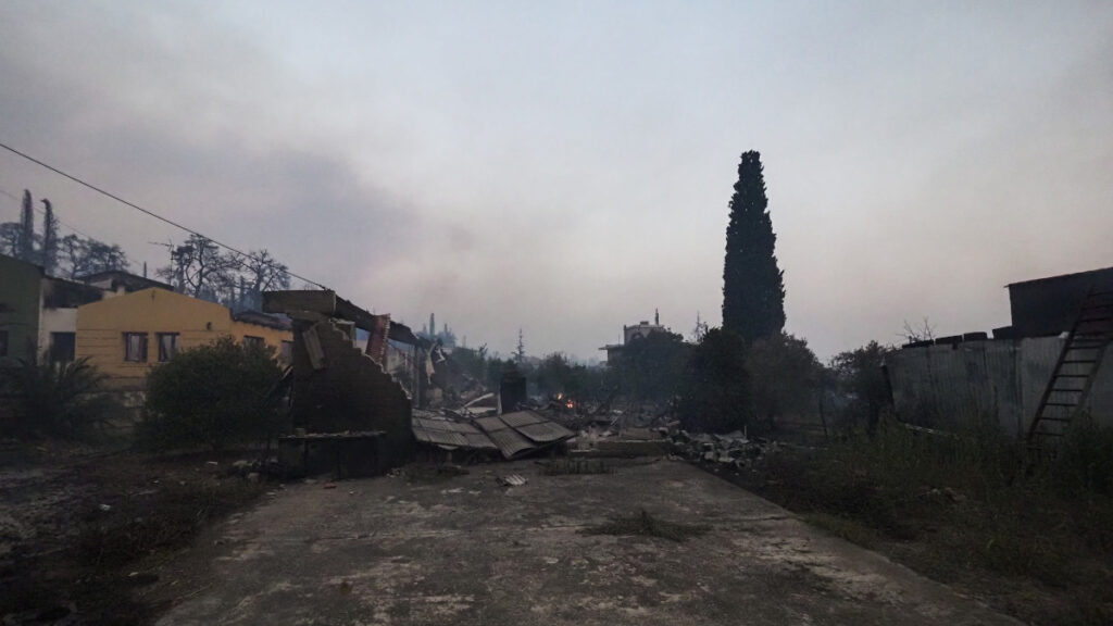 Βόρεια Εύβοια - Πυρκαγιά στην Λίμνη Ευβοίας