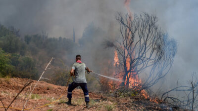 Πυρκαγιά στην Ηλεία - Κάτοικοι και πυροσβέστες στην πρώτη γραμμή της μάχης με τις φλόγες - Σάββατο 7 Αυγούστου 2021