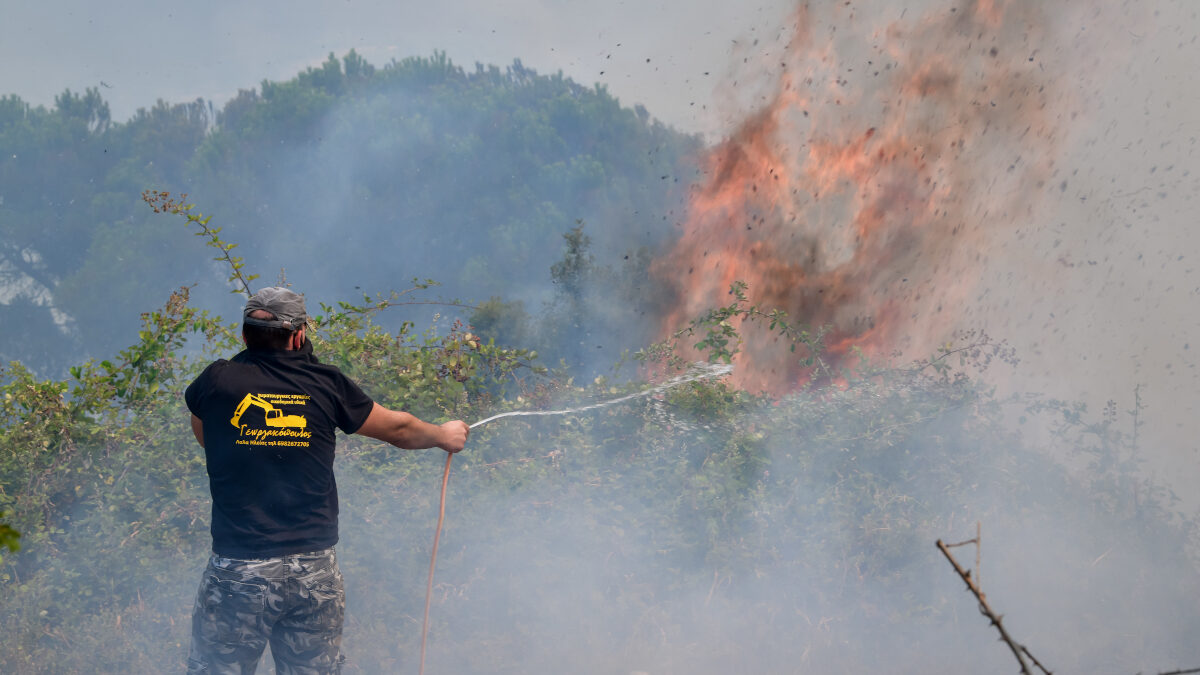 Πυρκαγιά στην Ηλεία - Κάτοικοι και πυροσβέστες στην πρώτη γραμμή της μάχης με τις φλόγες - Σάββατο 7 Αυγούστου 2021