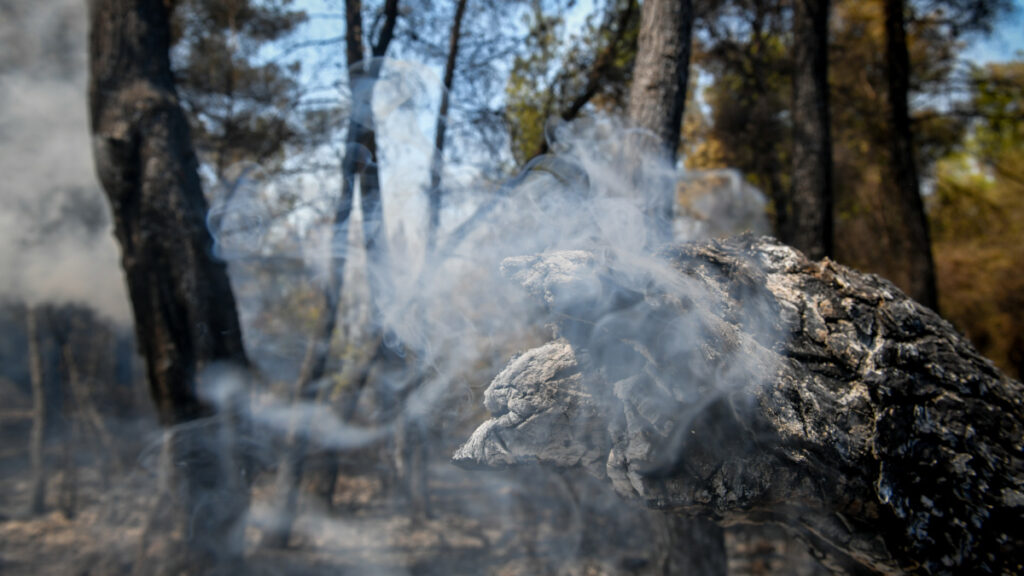Πυρκαγιά στα Βίλια, Αττικής