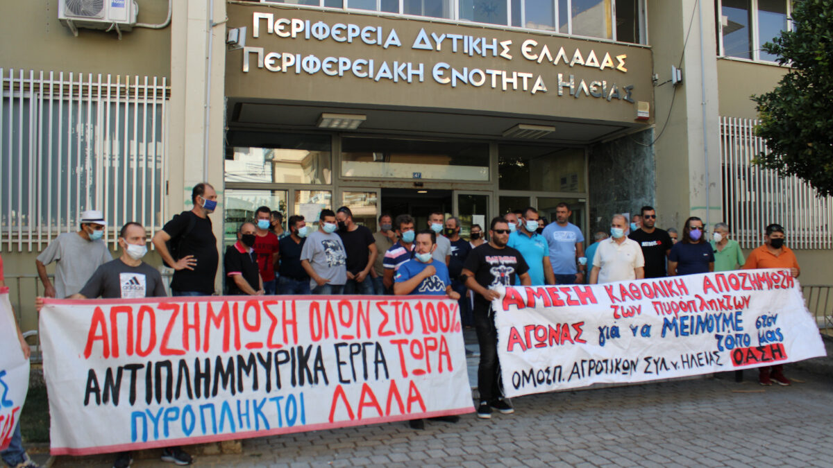 Επιτροπή πυρόπληκτων Ηλείας