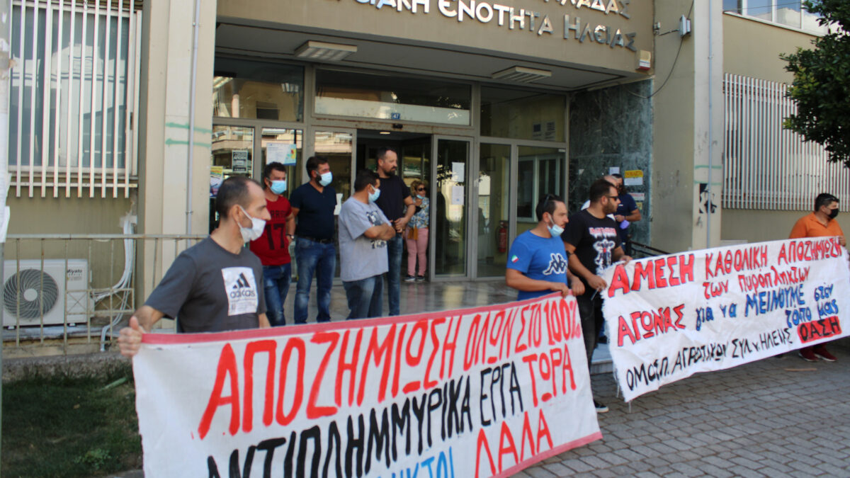 Επιτροπή πυρόπληκτων Ηλείας