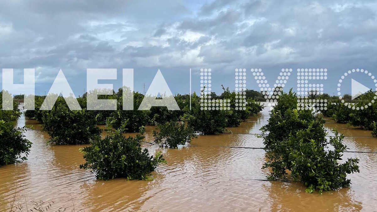 Καταστροφικές πλημμύρες στο νομό Ηλείας