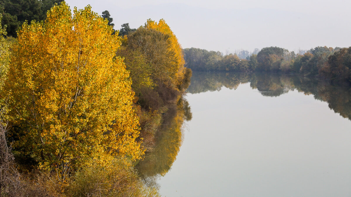 Καιρός - Φθινοπωρινό σκηνικό στις όχθες του Πηνειού ποταμού, έξω από την πόλη της Λάρισας.