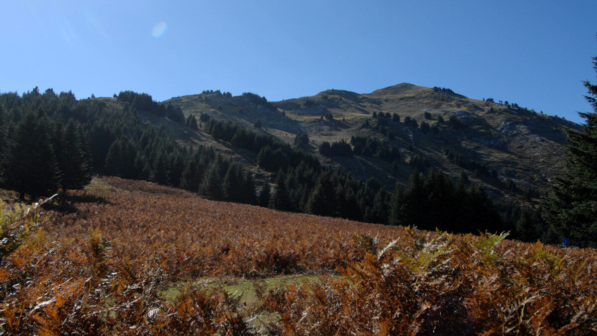 Κορυφή των Αγράφων