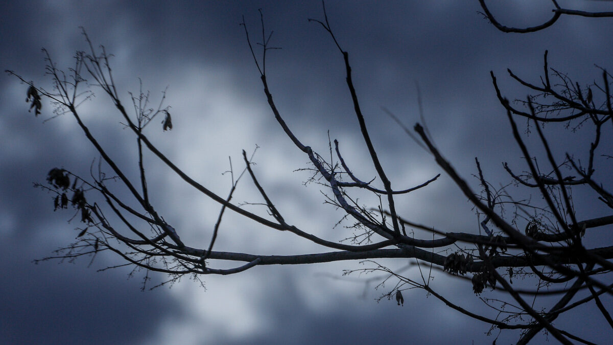 Χειμωνιάτικος καιρός - Δευτέρα 10 Ιανουαρίου 2022
